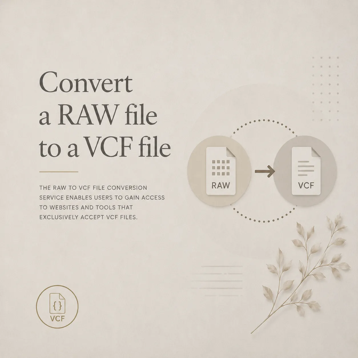 Convert a RAW file to a VCF file