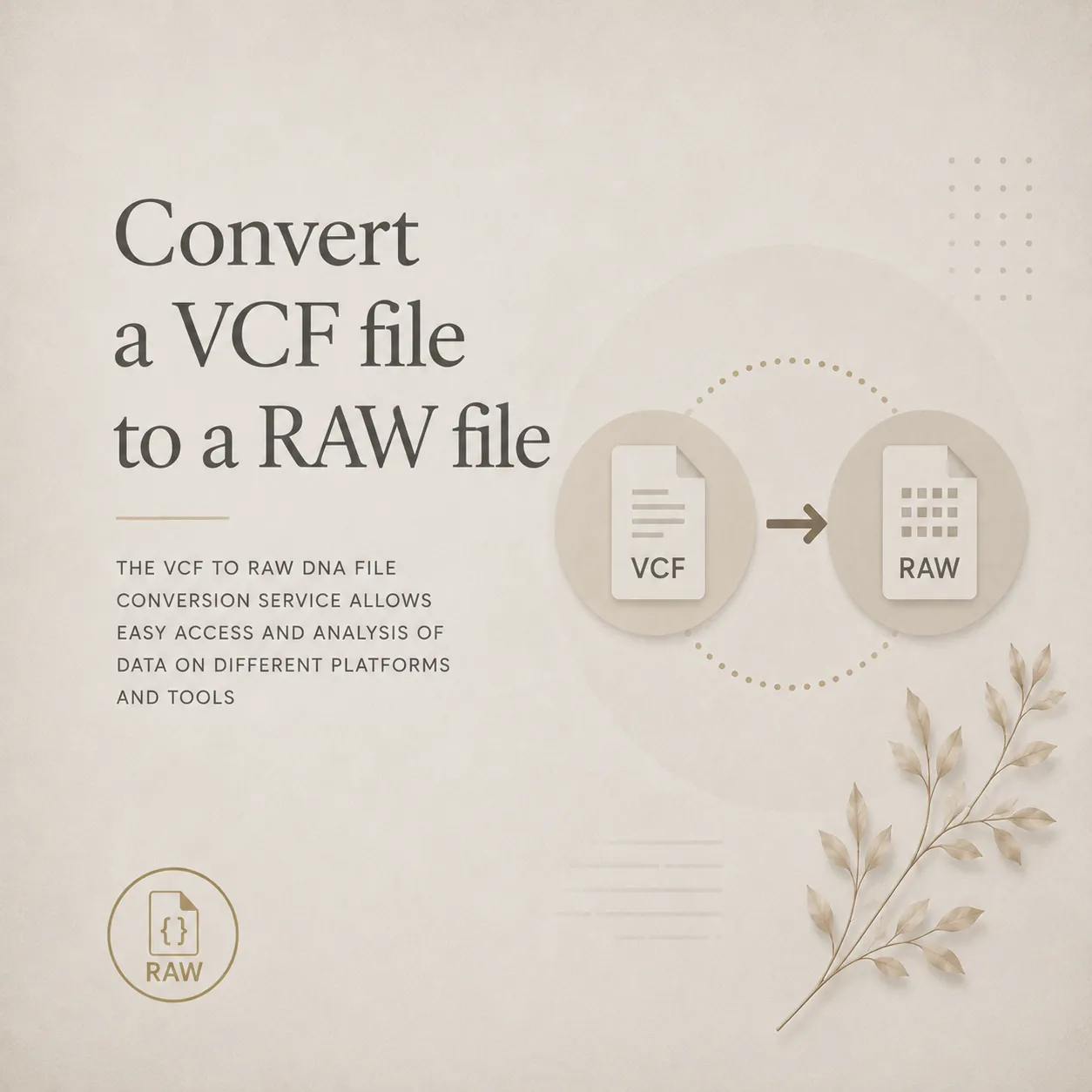 Convert a VCF to a RAW file
