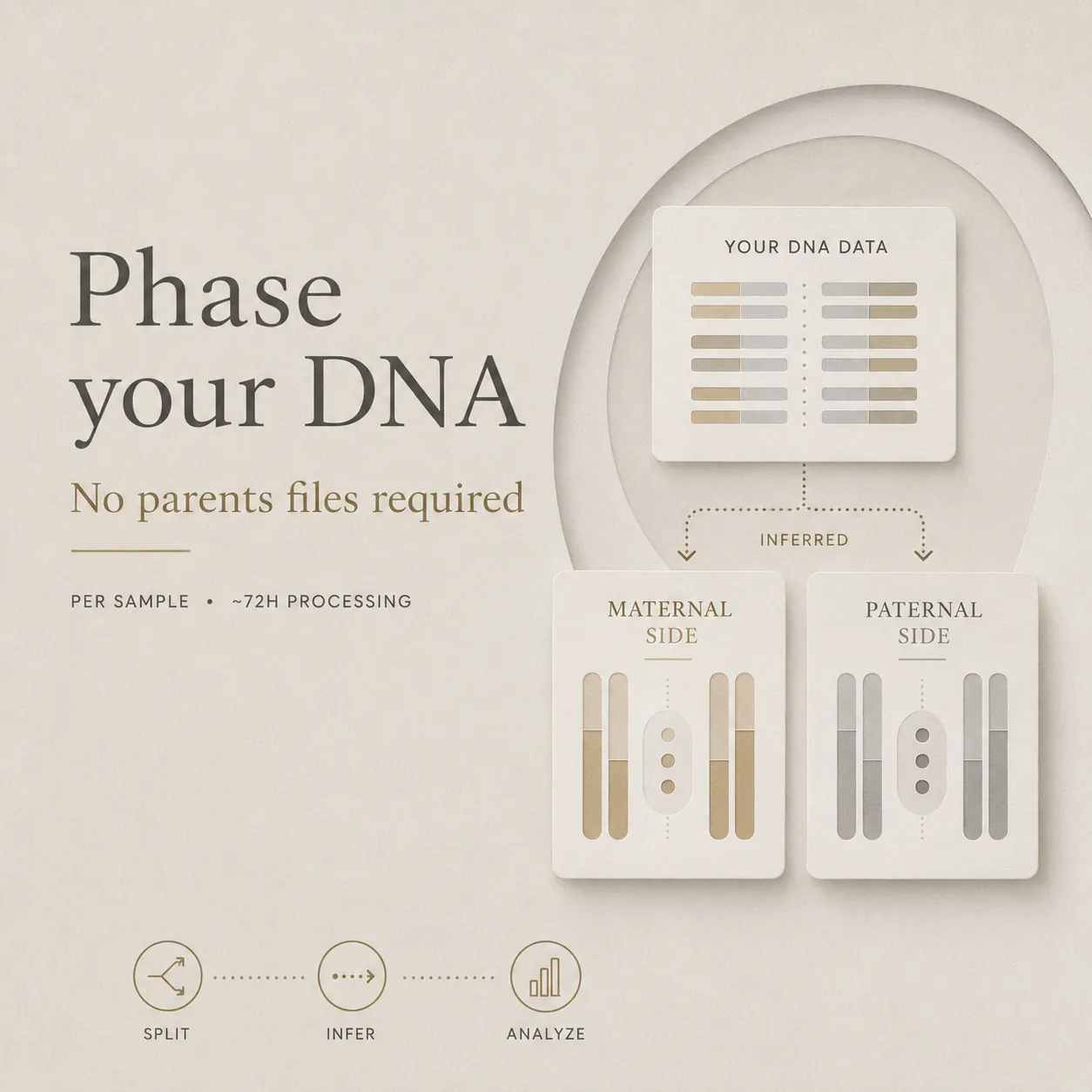 Phase your DNA (no parents files required)