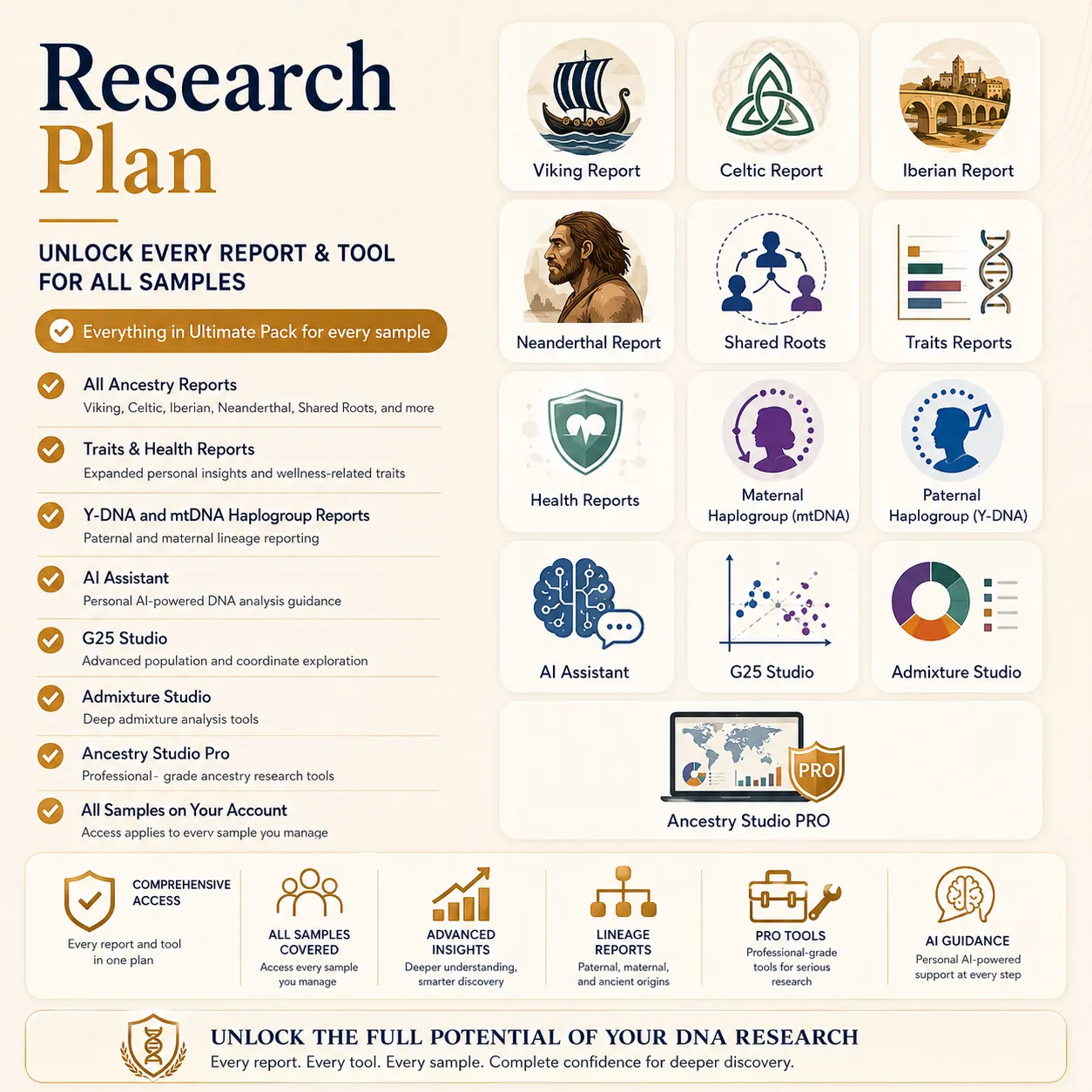 Research Plan - 1 Month
