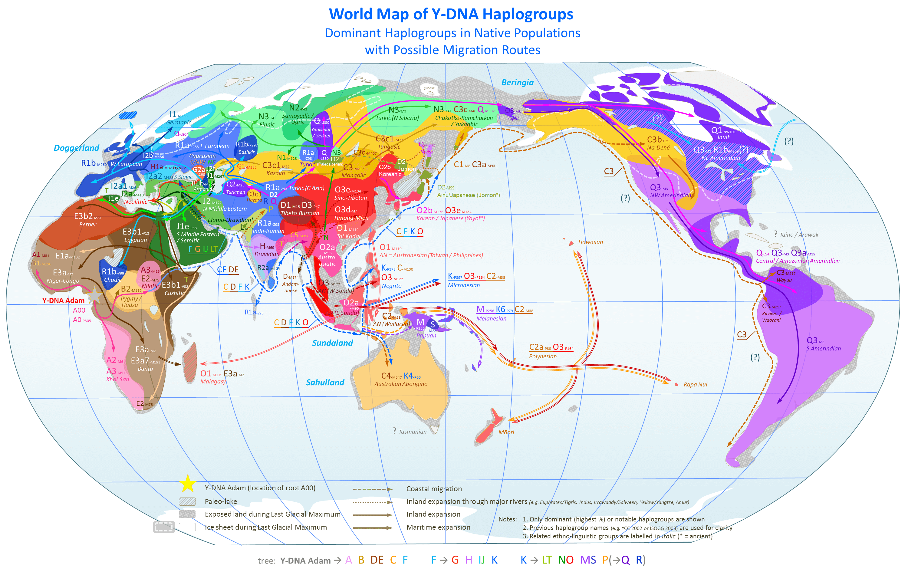 Y-DNA haplogroup world distribution map